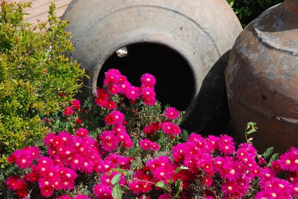 A Flor Da Rosa Hotel Crato Bagian luar foto